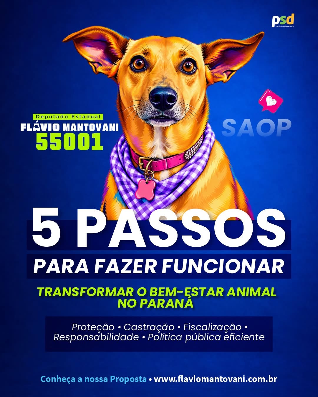 5 passos pelo bem-estar animal